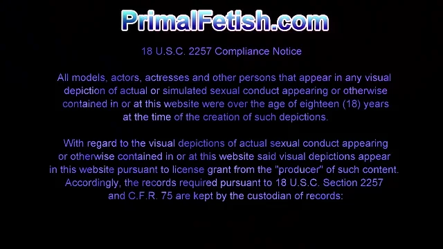 Preview of PrimalFetish Piper Perri XXX